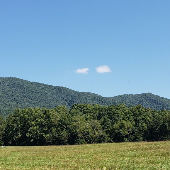 Meet Your Posher - Picture 3 of 5